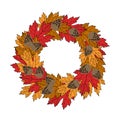 Wreath frame of autumn maple leaves with cones on a white background vector illustration Royalty Free Stock Photo